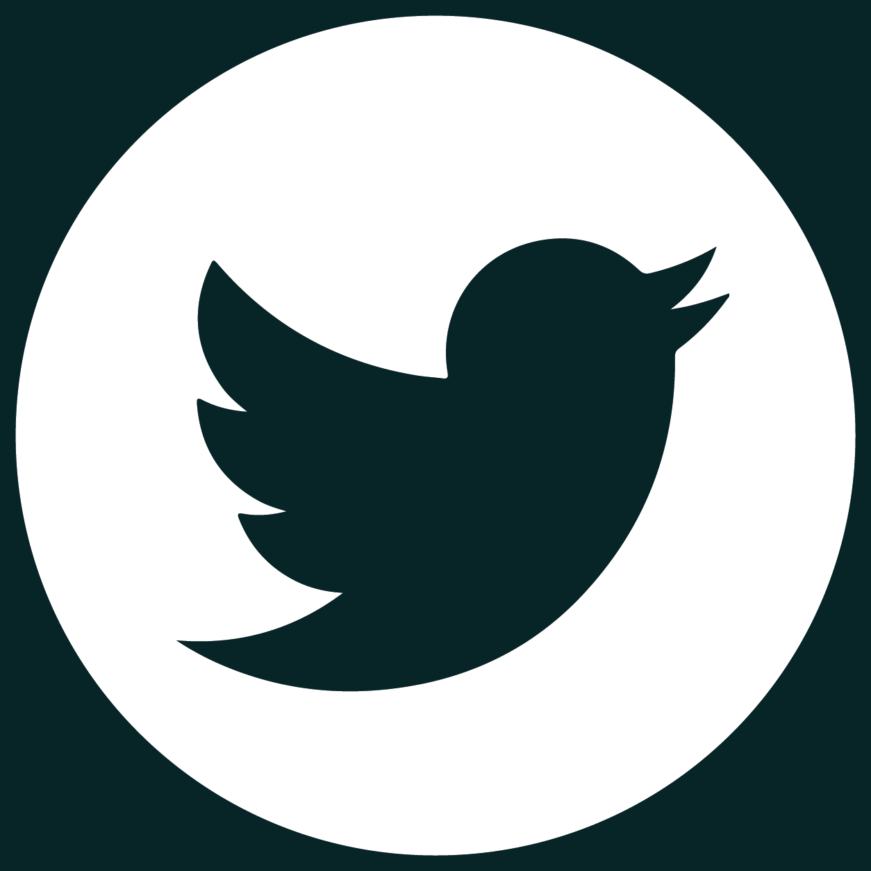 twitter link