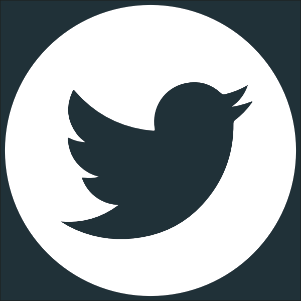 twitter link